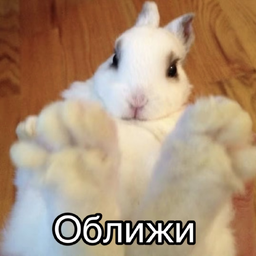 ultrakiiska